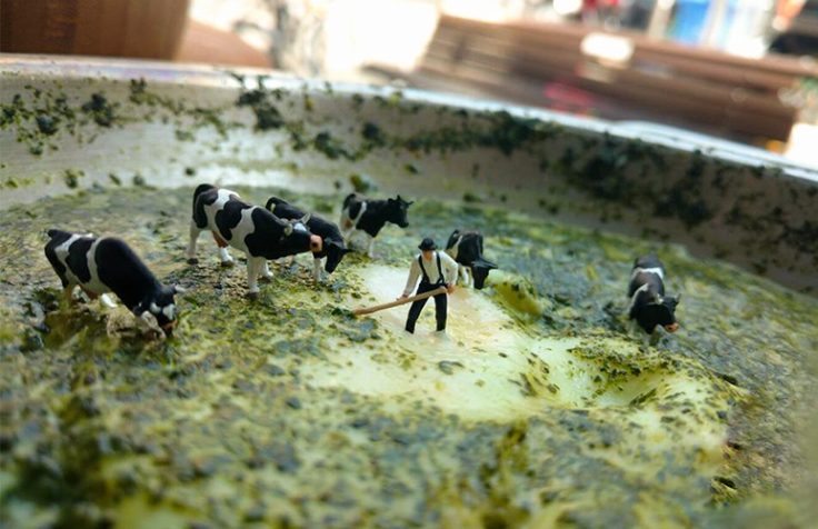 יעקב בלומנטל